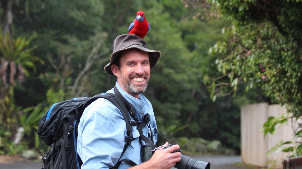 why do you like birds