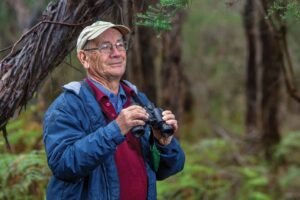 birdwatching for beginners